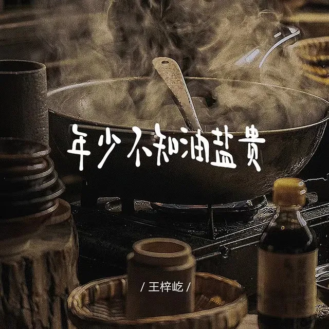 年少不知油盐贵 - DJ阿骏版伴奏