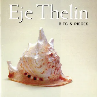 Bits & Pieces by Eje Thelin