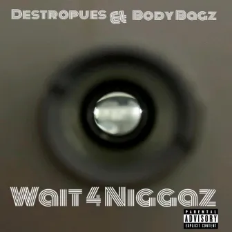 Wait 4 Niggaz by 