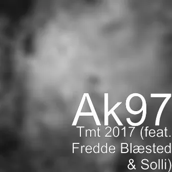 Tmt 2017 (feat. Fredde Blæsted & Solli) by AK97