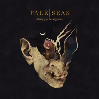 Someday by Pale Seas