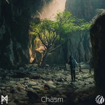 Chasm by Mfinity