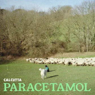 Paracetamol by Calcutta 