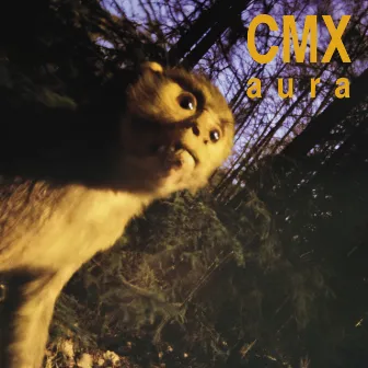 Aura (Reissue) by CMX