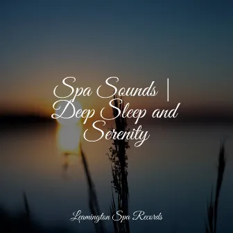 Spa Sounds | Deep Sleep and Serenity by Meditation