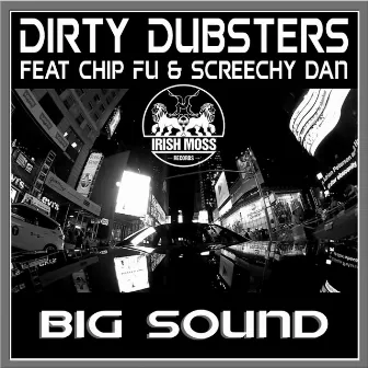 Big Sound (feat. Chip Fu & Screechy Dan) by Dirty Dubsters