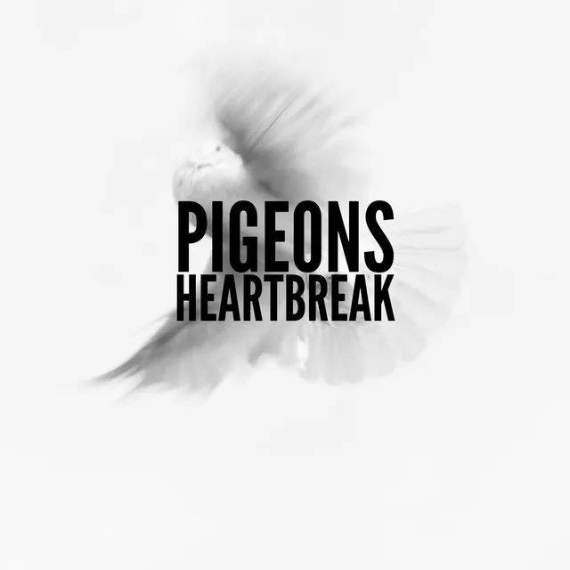 Pigeon's Heartbreak