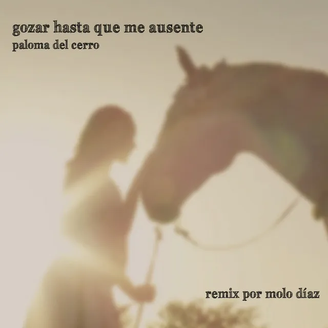 Gozar Hasta Que Me Ausente (Remix)