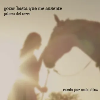 Gozar Hasta Que Me Ausente (Remix) by Molo Díaz