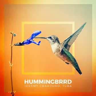 Hummingbrrd by Jeremy Crawford