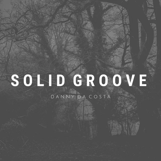 Solid Groove - Radio Edit