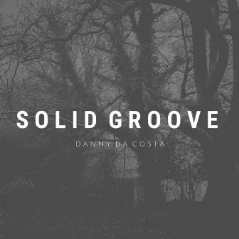 Solid Groove by Danny Da Costa