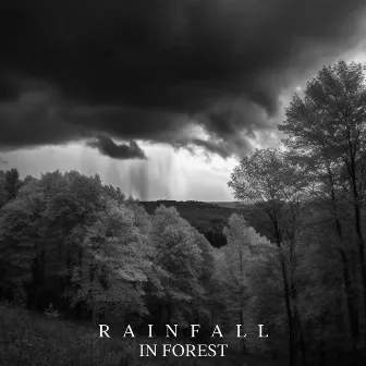 Rainfall in Forest: Soothing Rain Ambience for Sleep by Sleep Music Library