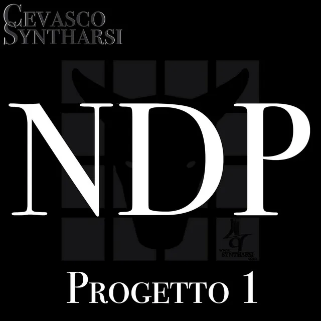 NDP, Progetto 1