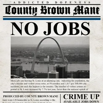 No Jobs by County Brown Mane