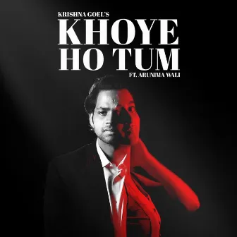 Khoye Ho Tum by Krishna Goel