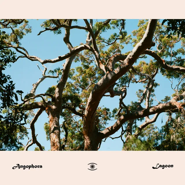 Lagoon