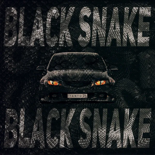 Black Snake