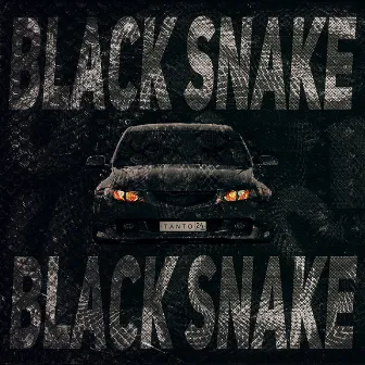 Black Snake by Tanto