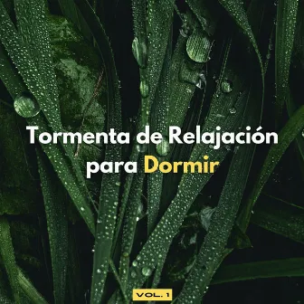 Tormenta De Relajación Para Dormir Vol. 1 by Sueño profundo de onda delta