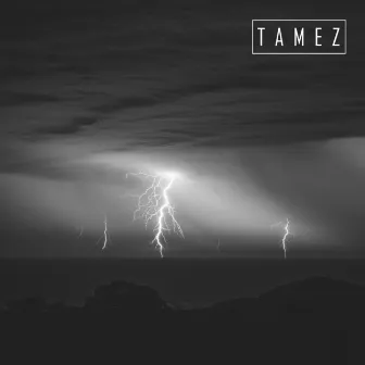 Tormenta Electronica by Tamez