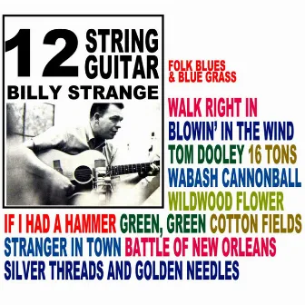 12 String Guitar by Billy Strange