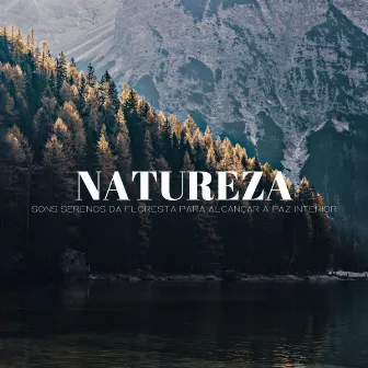 Natureza: Sons Serenos Da Floresta Para Alcançar A Paz Interior by Música de Meditação