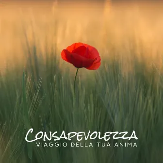 Consapevolezza: Viaggio della tua anima - Magica bella musica by Bella zen rilassante