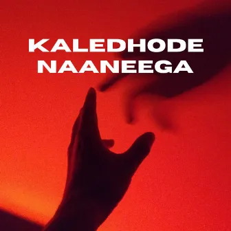 Kaledhode Naaneega by Kishan Bijjur