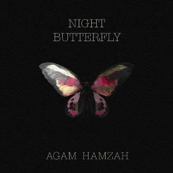 Night Butterfly by Agam Hamzah