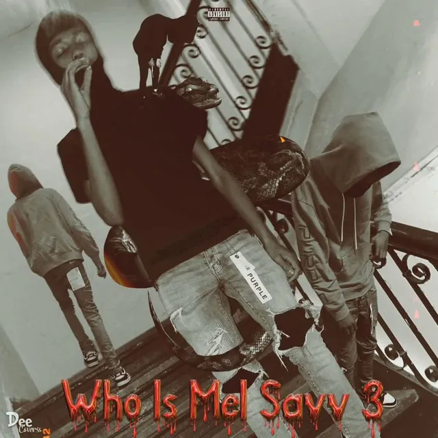 Who Is Mel Savv 3 ?