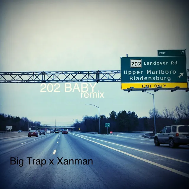 202 Baby (Remix)