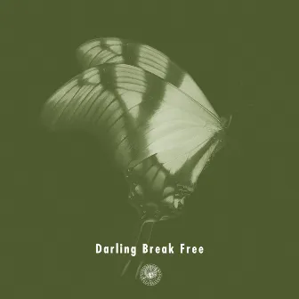 Darling Break Free by AmPm