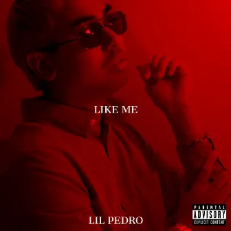 Like Me by Lil Pedro