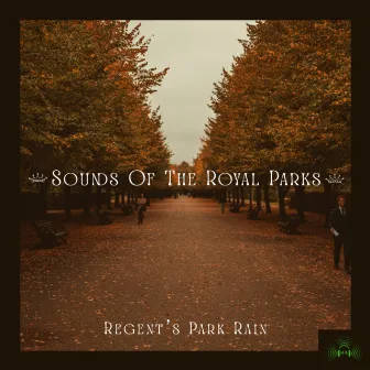 Regent’s Park Rain by Sounds Of The Royal Parks