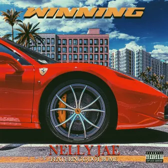 Winning by Nelly Jae