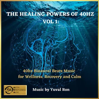 The Healing Power Of 40 Hz by Yuval Ron