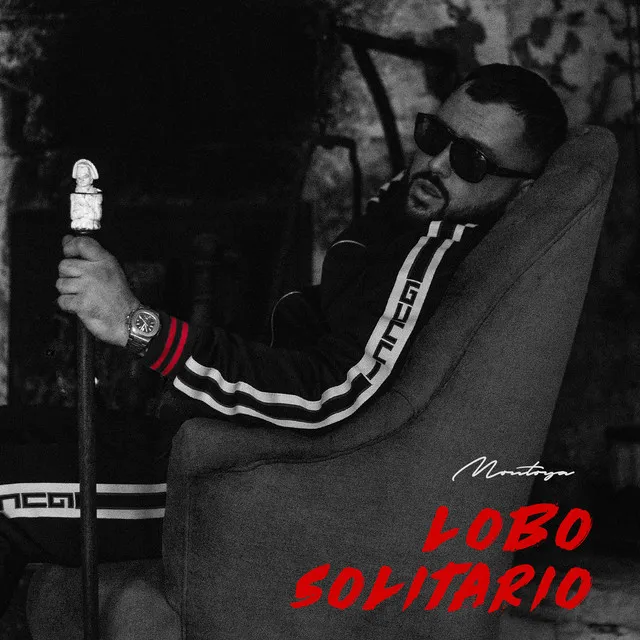 Lobo Solitário