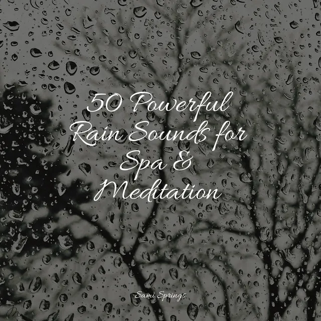 50 Powerful Rain Sounds for Spa & Meditation