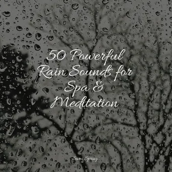 50 Powerful Rain Sounds for Spa & Meditation by Rainy Sounds