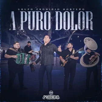 A Puro Dolor by Grupo Prodigio Norteño