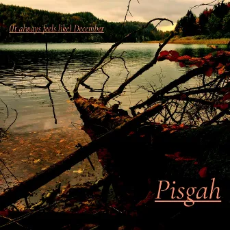 (It Always Feels Like) December by Pisgah