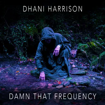 Damn That Frequency by Dhani Harrison