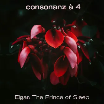 The Prince of Sleep by Consonanz à 4