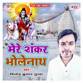 Mere Shankar Bholenath by 