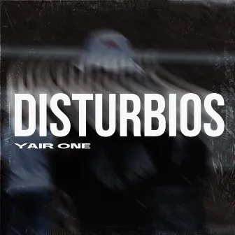 Disturbios by Yair One