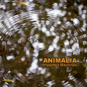 Animalia by Imperfect Machines