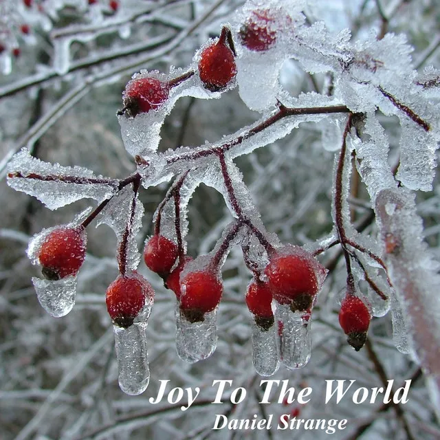 Joy to the World