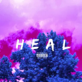 Heal by Desx