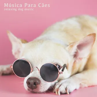 Relaxing Dog Music by Música Para Cães